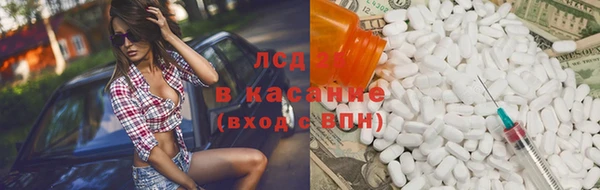 ГАЛЛЮЦИНОГЕННЫЕ ГРИБЫ Корсаков