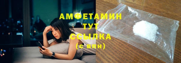 ГАЛЛЮЦИНОГЕННЫЕ ГРИБЫ Корсаков