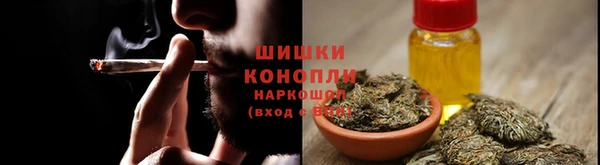 ГАЛЛЮЦИНОГЕННЫЕ ГРИБЫ Корсаков