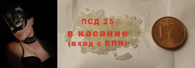 ГАЛЛЮЦИНОГЕННЫЕ ГРИБЫ Корсаков