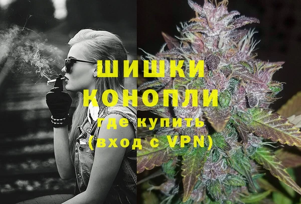 ГАЛЛЮЦИНОГЕННЫЕ ГРИБЫ Корсаков