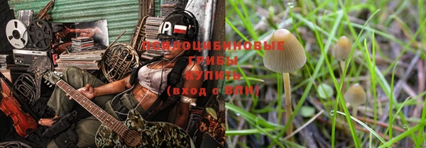 ГАЛЛЮЦИНОГЕННЫЕ ГРИБЫ Корсаков