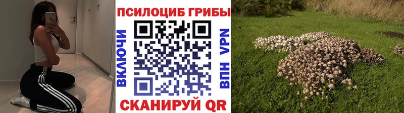 Галлюциногенные грибы прущие грибы  где продают   нарко площадка как зайти  Красноуральск 